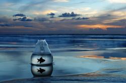 LOL决赛-双重领域的主宰艺术，从斯坦福桥的战术牢笼到巴林赛道的极限掌控—论布鲁诺式控制力在不同竞技场的完美演绎