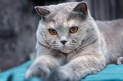 LOL决赛-唯一与孤勇，荣耀、悲壮，与一道无解的数学题