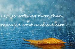 英雄联盟总决赛赛程-撒哈拉沙尘中的紫电，摩洛哥如何冲破亚洲之盾