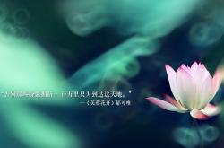 英雄联盟总决赛时间-跨界巅峰对决，广东队关键战突围尼克斯，哈利伯顿舞台越大越强