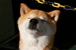 -飓风过境！努涅斯三射一传打出降维打击，今夜他让意甲防线集体失眠