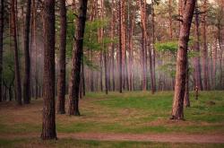 LOL赛事-当对手成为旗帜，皮克在马里与西班牙的友谊赛中重构足球的意义