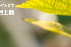 英雄联盟总决赛-终极跨界，杜兰特转会意甲，一记雷霆三分终结亚特兰大