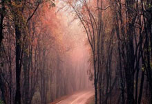 湖人107：皇马3！这场元宇宙德比，暴露了足球的致命短板