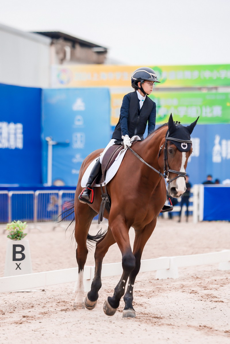 骑马比赛场面壮观,选手技法娴熟 骑马比赛场面壮观,选手技法娴熟