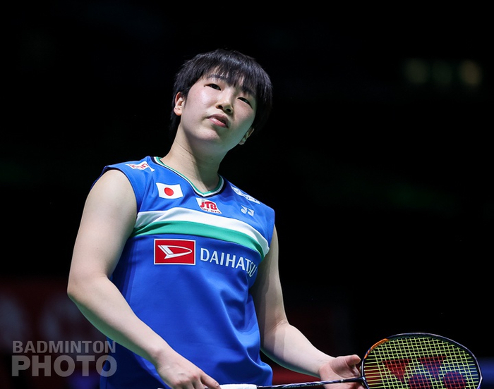 印度队横扫法国队，安赛龙带队取胜