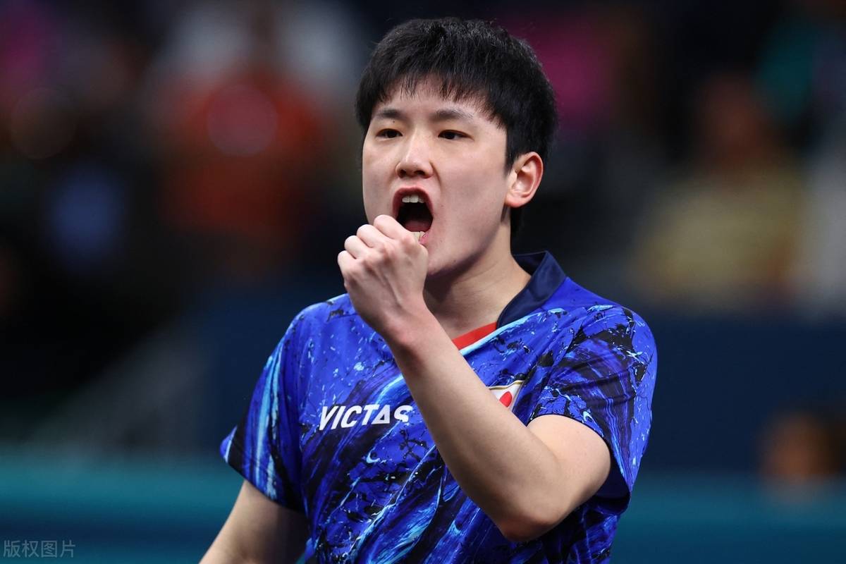 韩国队力克奥地利队,张本智和高光表现的简单介绍 韩国队力克奥地利队,张本智和高光表现的简单介绍