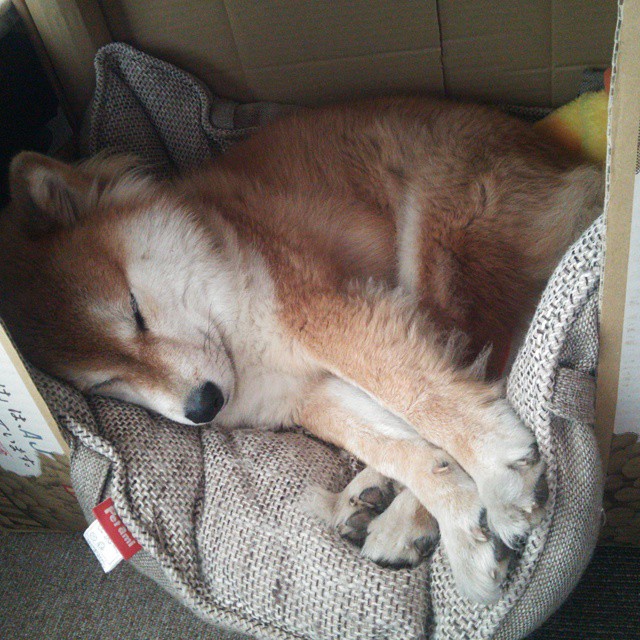 唯一与孤勇,荣耀、悲壮,与一道无解的数学题