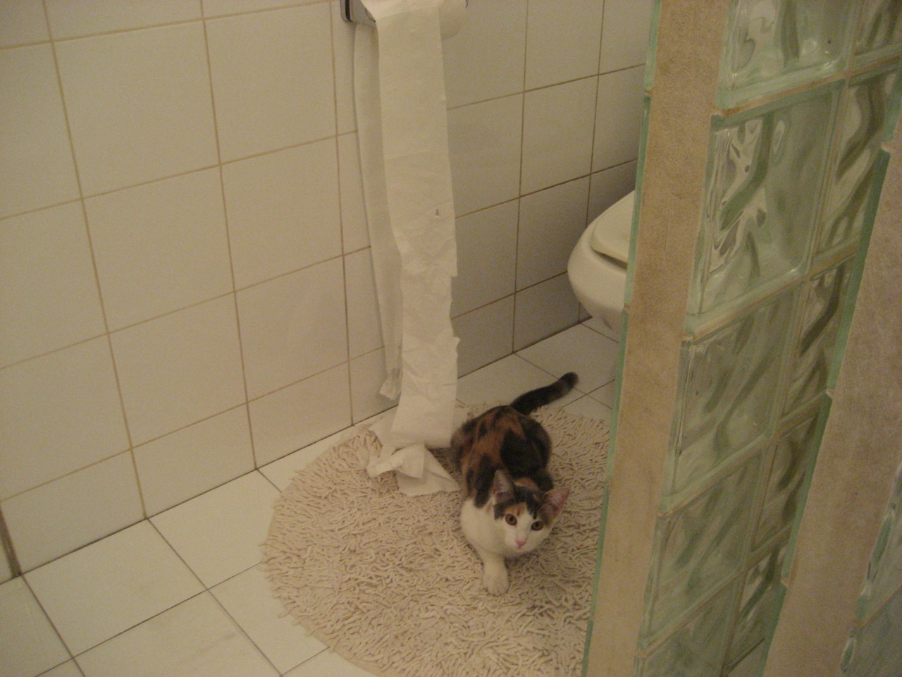 巴尔韦德爆发!毕尔巴鄂3-0横扫摩洛哥,世界杯黑马在巴斯克雄狮面前彻底蒙尘