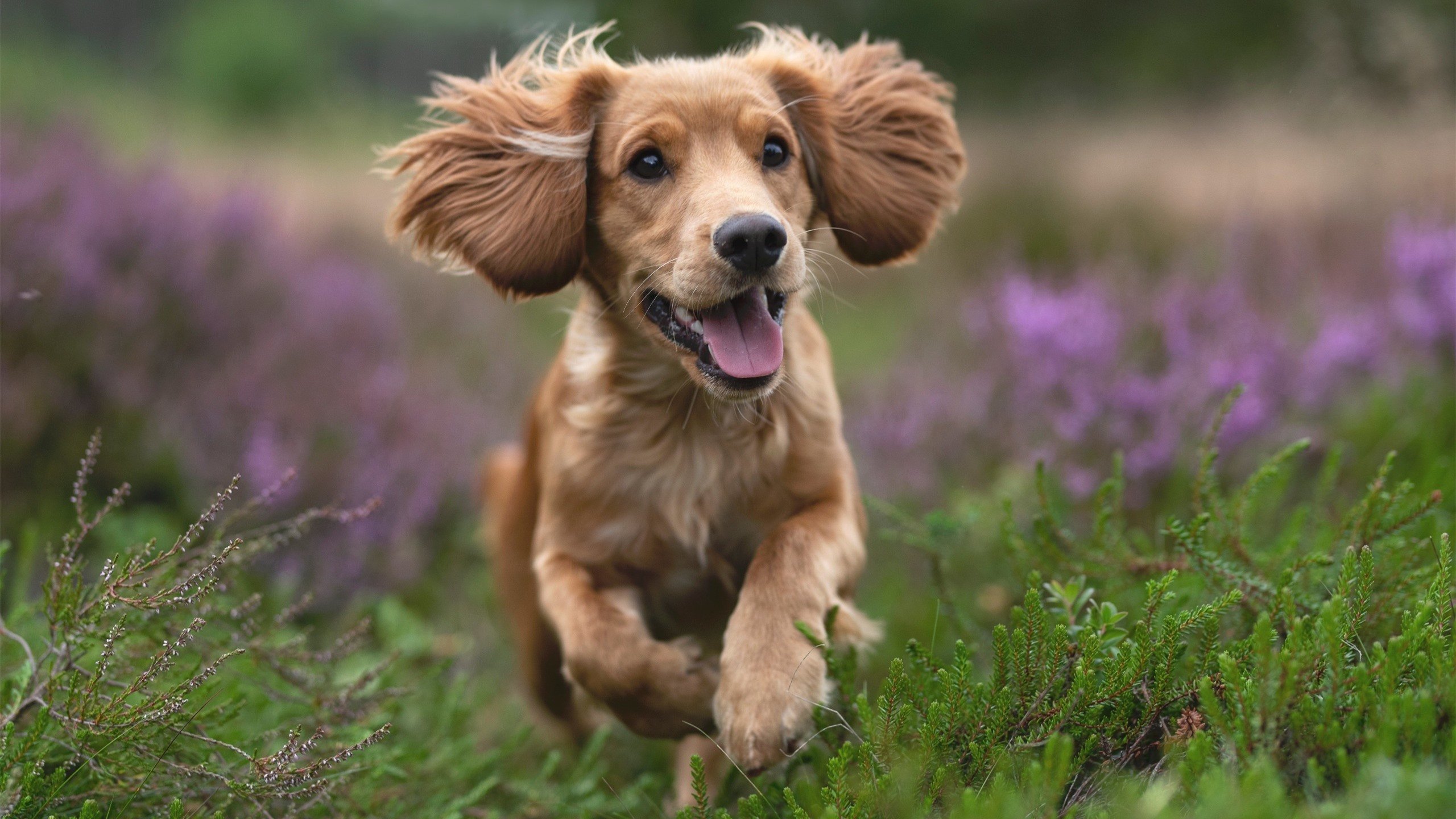 三分钟，从罪人到英雄，李刚仁的救赎之路
