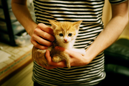 冰与火之歌,米切尔焚城之夜,火箭绝境突围记