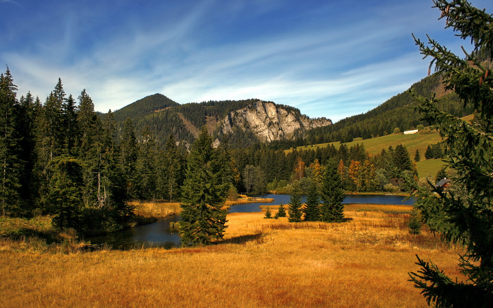 深圳队翻盘火箭,库里节奏完全掌控,一场跨越时空的篮球辩证法