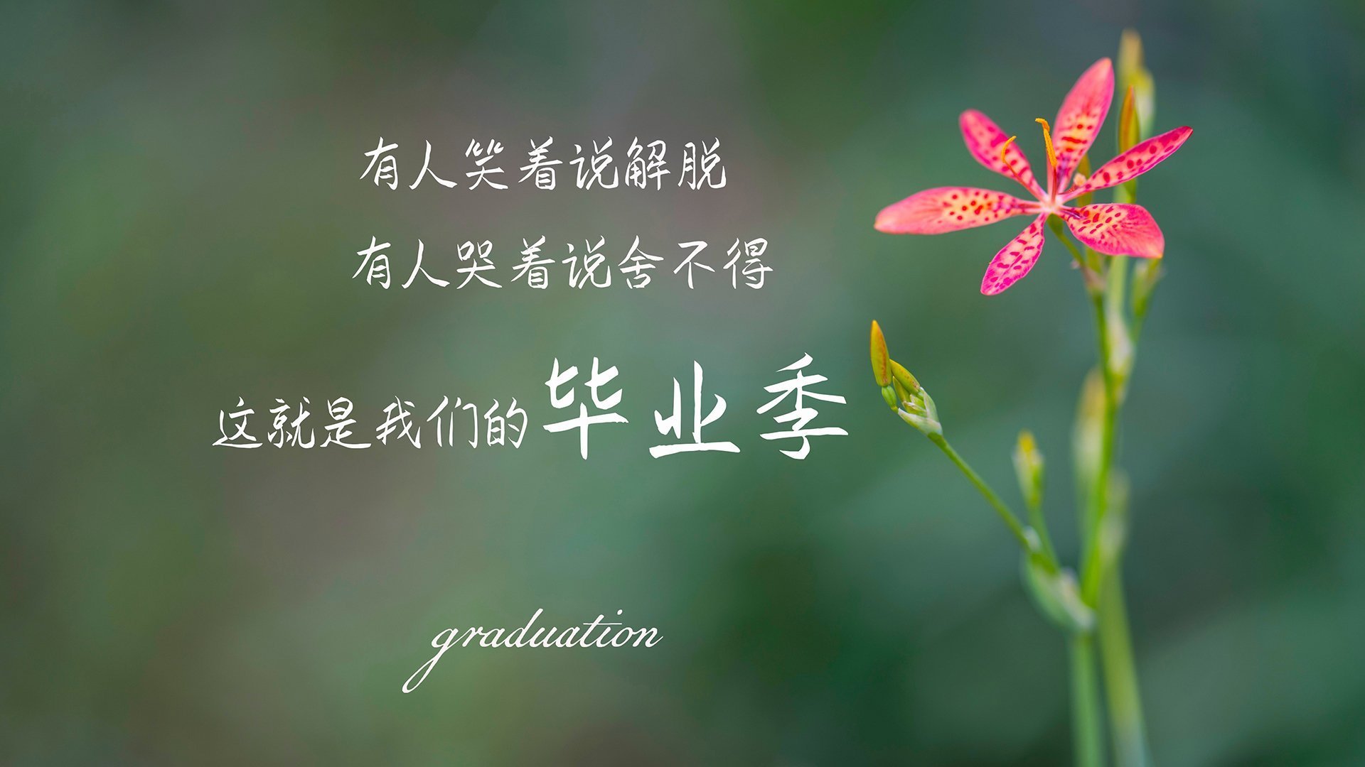 节奏颠覆者,文班亚马如何让开拓者的控场艺术在马刺面前失效