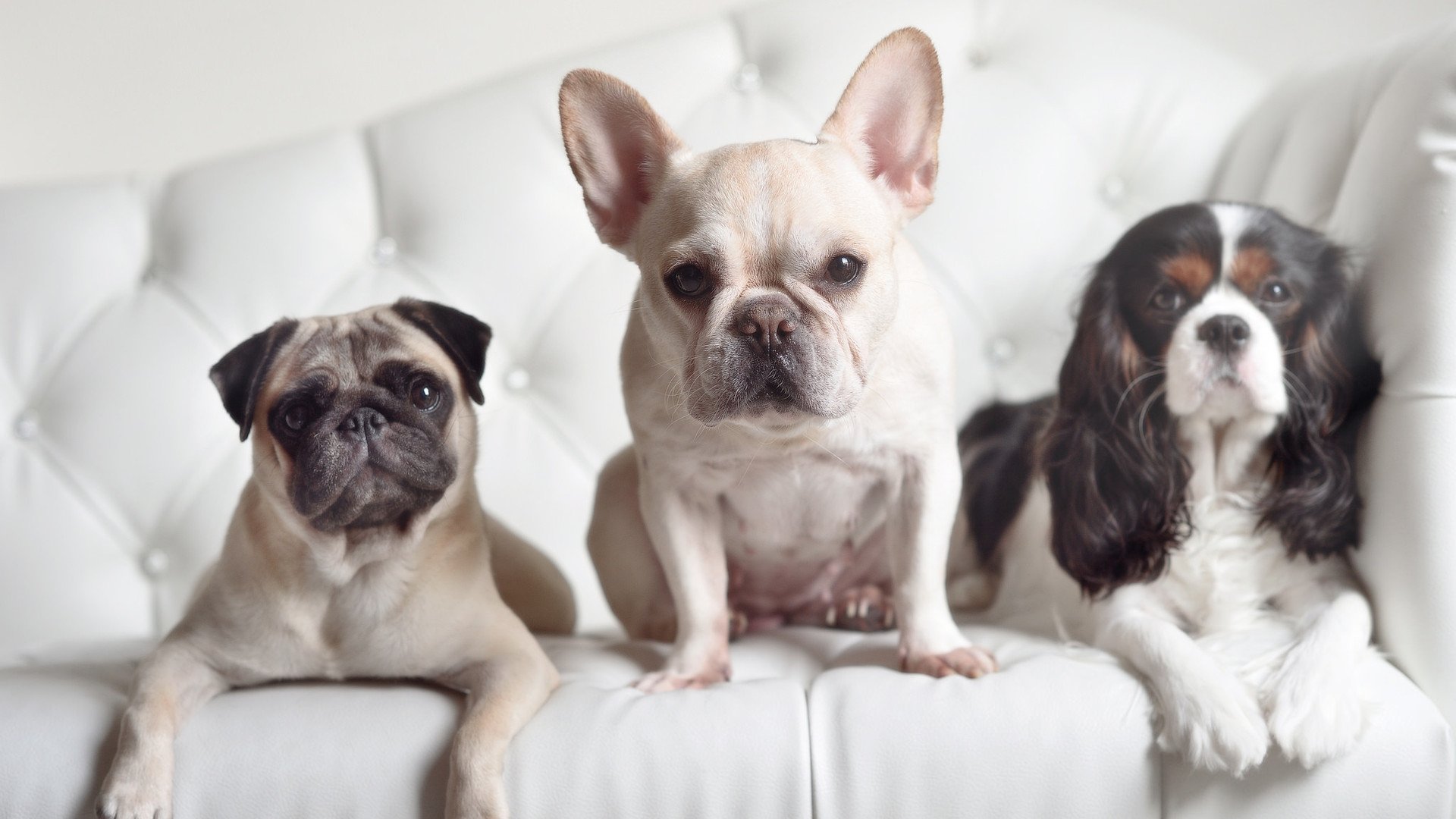 横刀立马，欧冠之夜奥亚尔萨瓦尔天降神兵