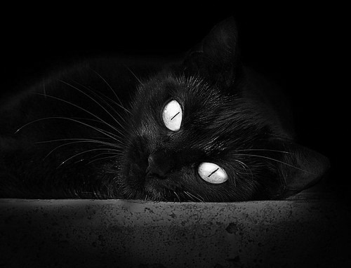 寒冬斩独行侠！德罗赞孤注一掷化身雄鹿关键先生