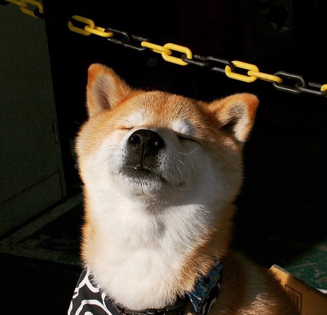 飓风过境！努涅斯三射一传打出降维打击，今夜他让意甲防线集体失眠