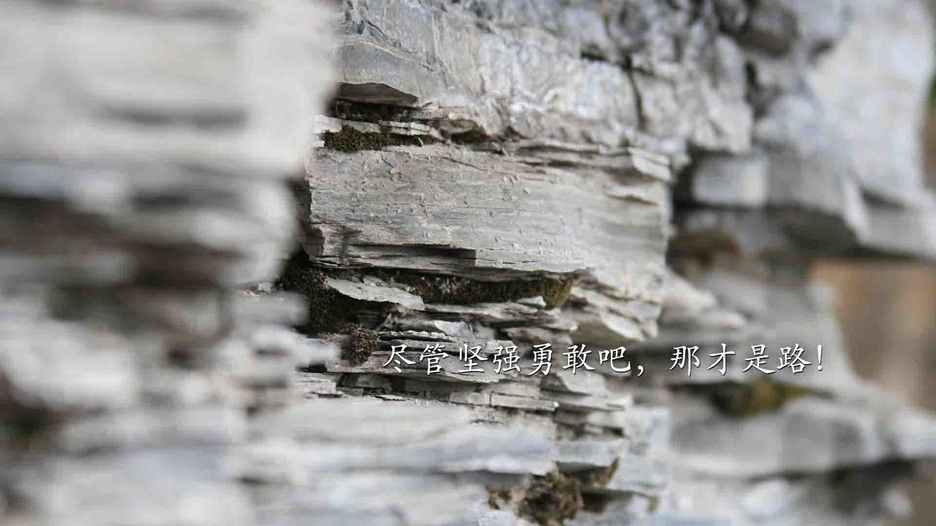 铁骑踏碎菲尼克斯，孤星照亮沙漠夜