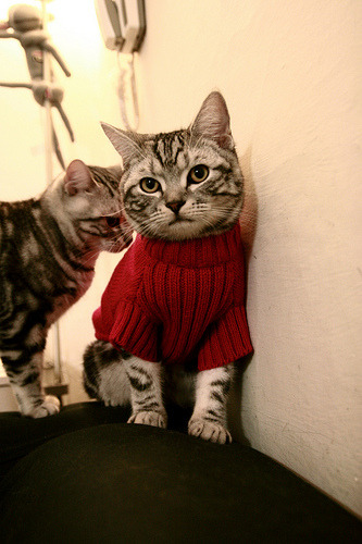 桑巴之刃刺破铁壁—迪马利亚利剑出鞘，巴西正名之战击溃瑞士坚盾