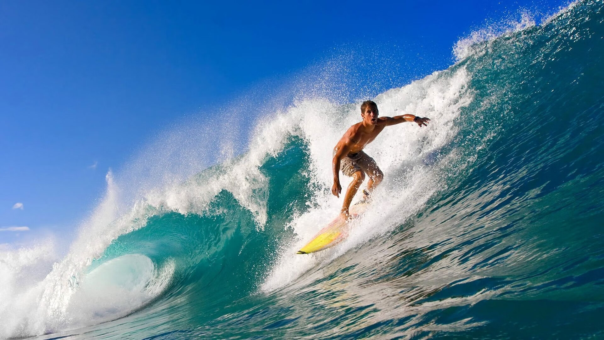 风暴中心的赞歌，帕尔默的战局与牙买加的奇迹之夜