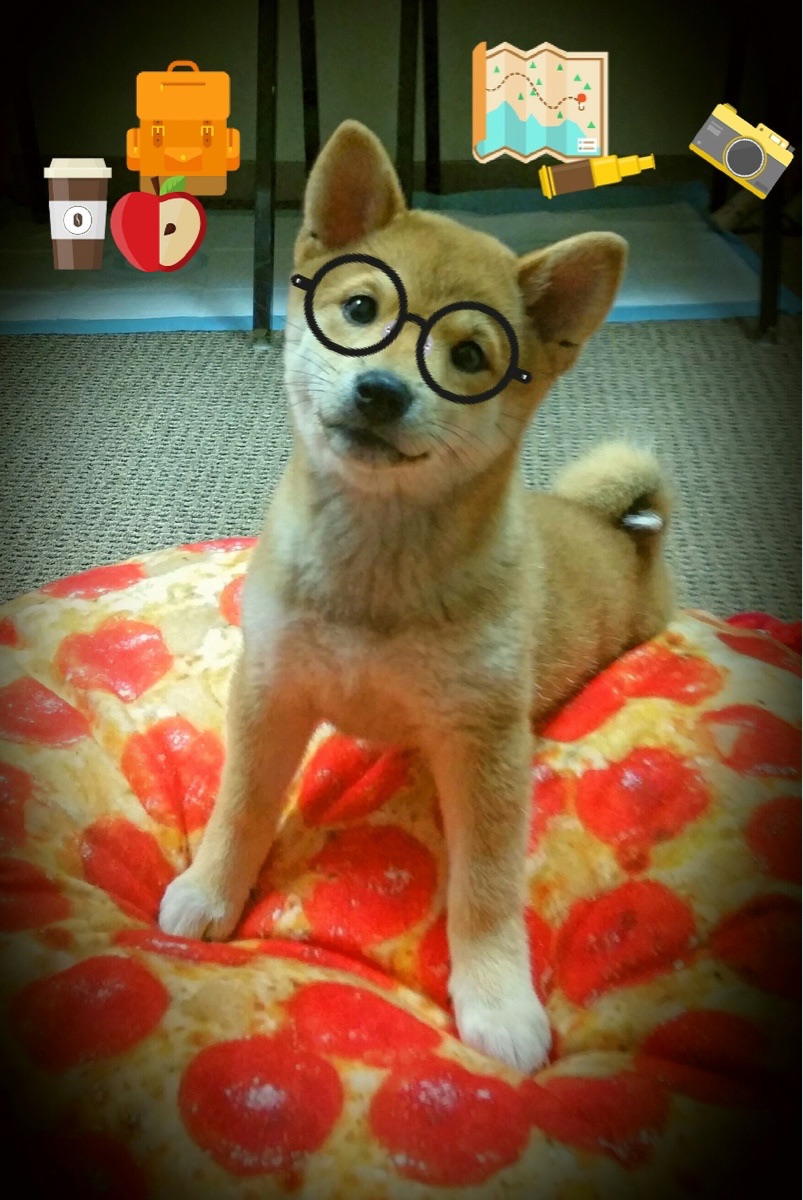 绝杀之夜，多特蒙德最后时刻逆转卡塔尔，巴尔韦德末节接管比赛