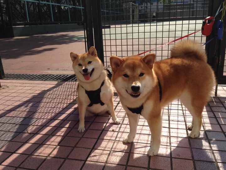 沙漠与高地的唯一对决，破局者厄德高在压力熔炉中完成救赎