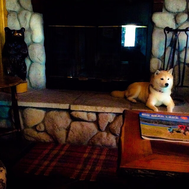 绝境英雄！特奥单骑救主，摩纳哥生死战力擒蓝鹰