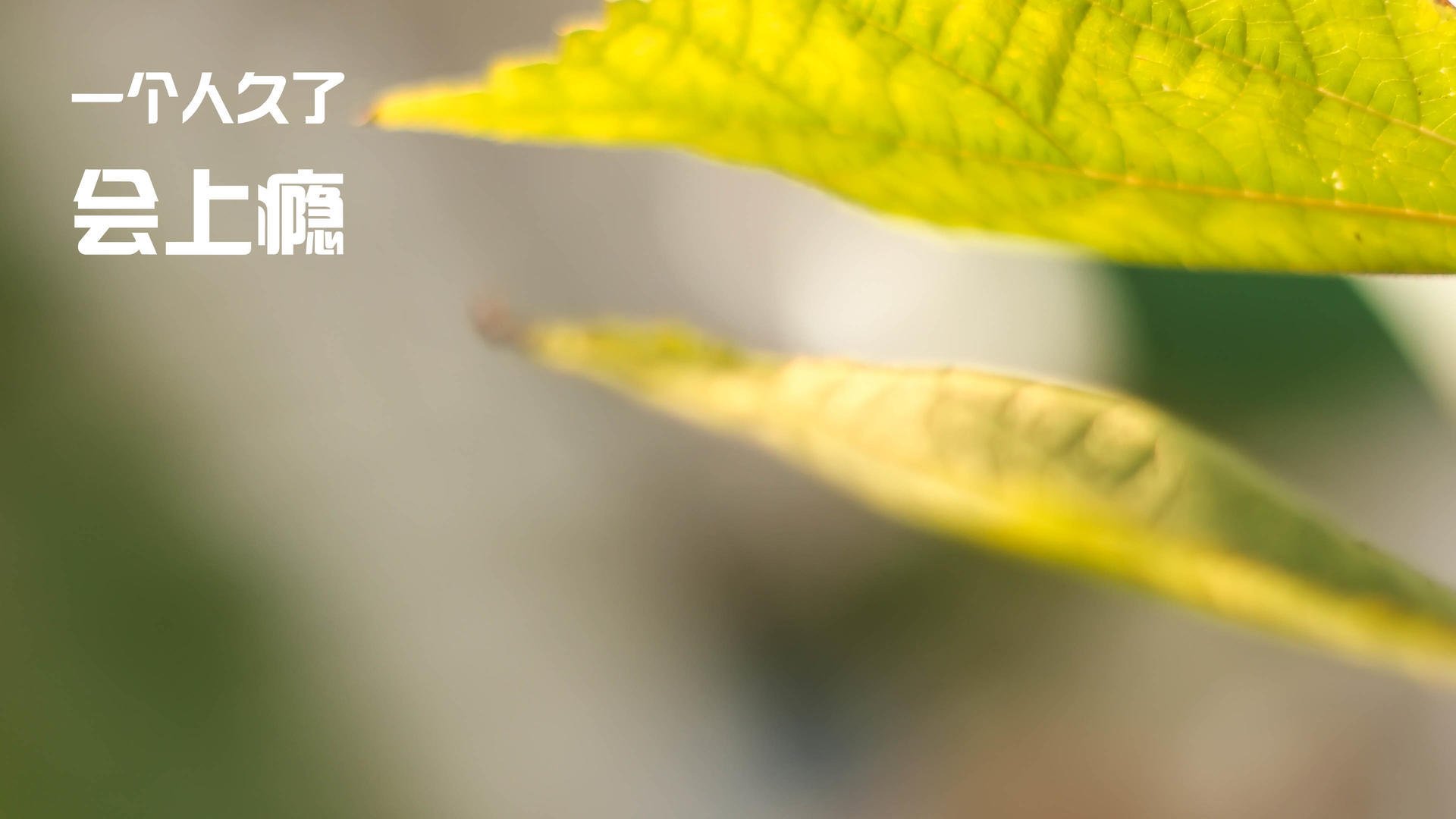 终极跨界，杜兰特转会意甲，一记雷霆三分终结亚特兰大