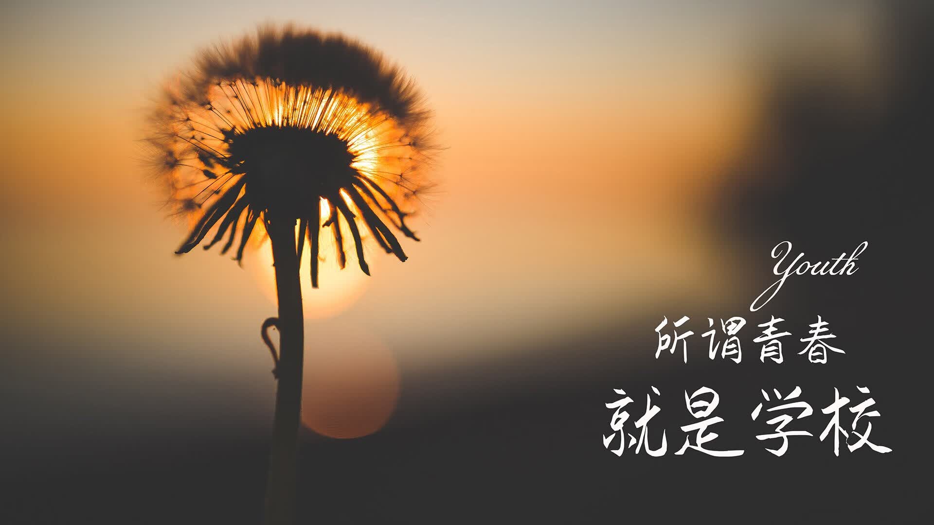 双核纪元，当新奥尔良的野性精密撞上湾区的终极独奏