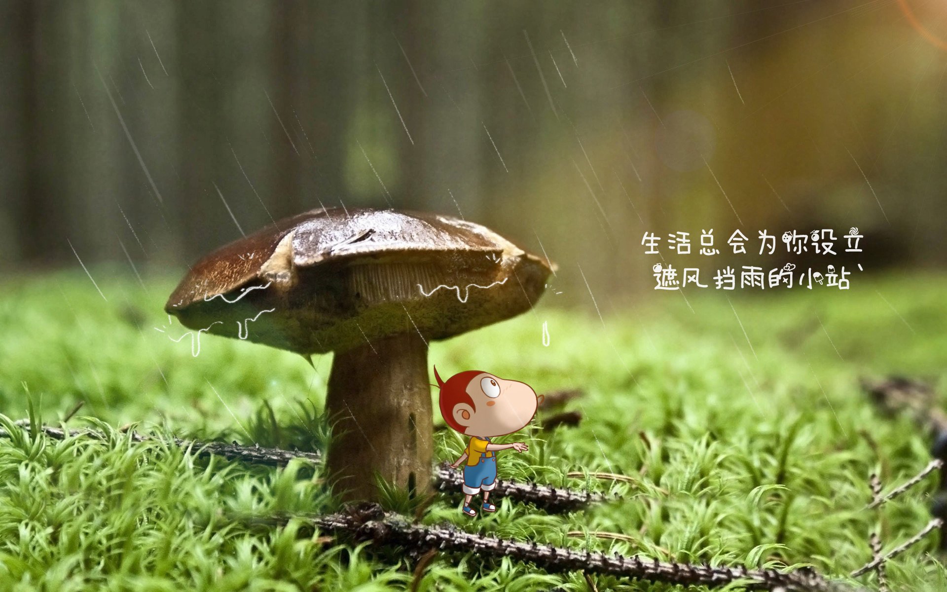 英伦鸢尾的绝唱，当控球的旋律在塔什干沙漠中迷失，又由托纳利带回胜利