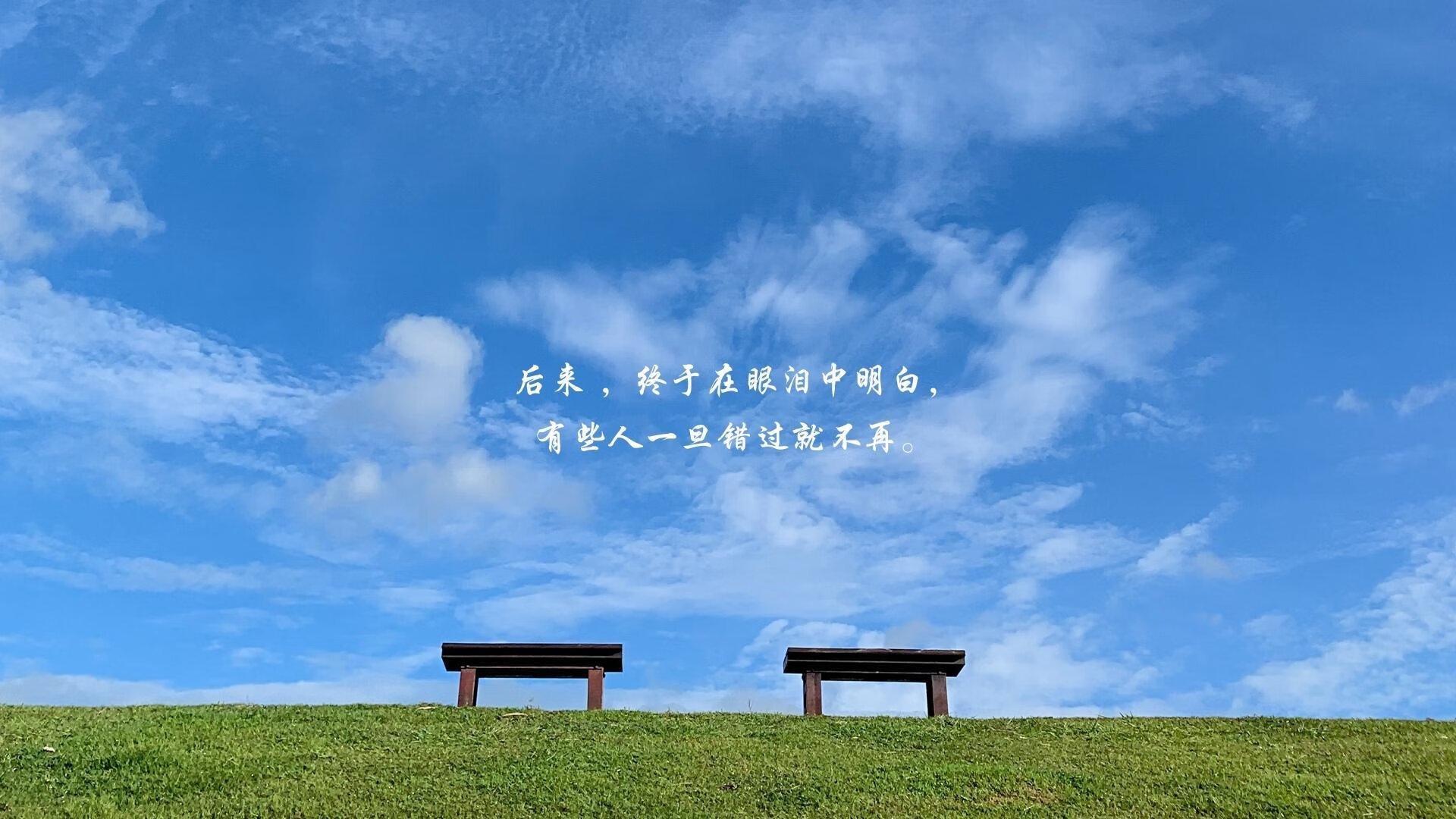 碾压与惊艳，2026世界杯B组，巴西的统治力与努涅斯的孤星闪耀