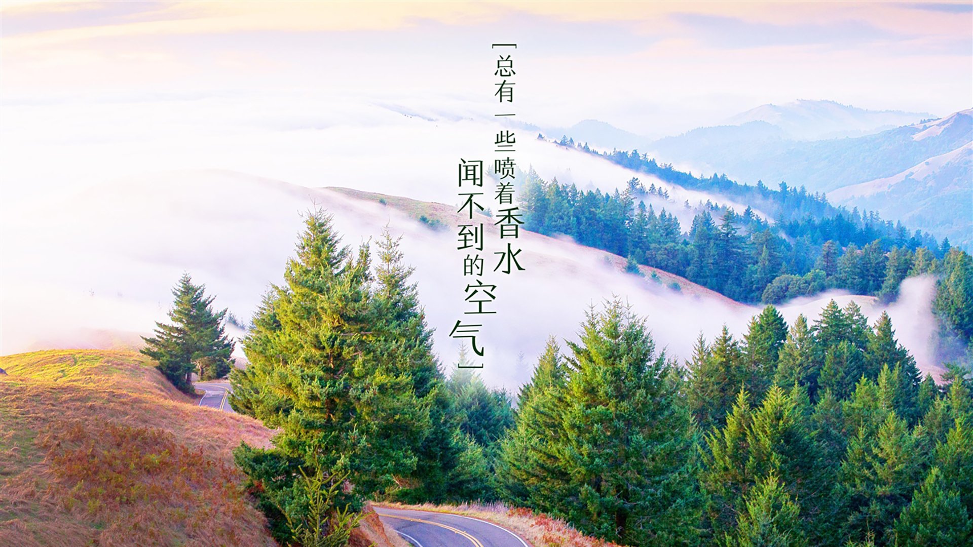 蓝衣军团折戟两河之地，2026世界杯D组，伊拉克用中场铁幕与卢卡库神锋上演颠覆性胜利