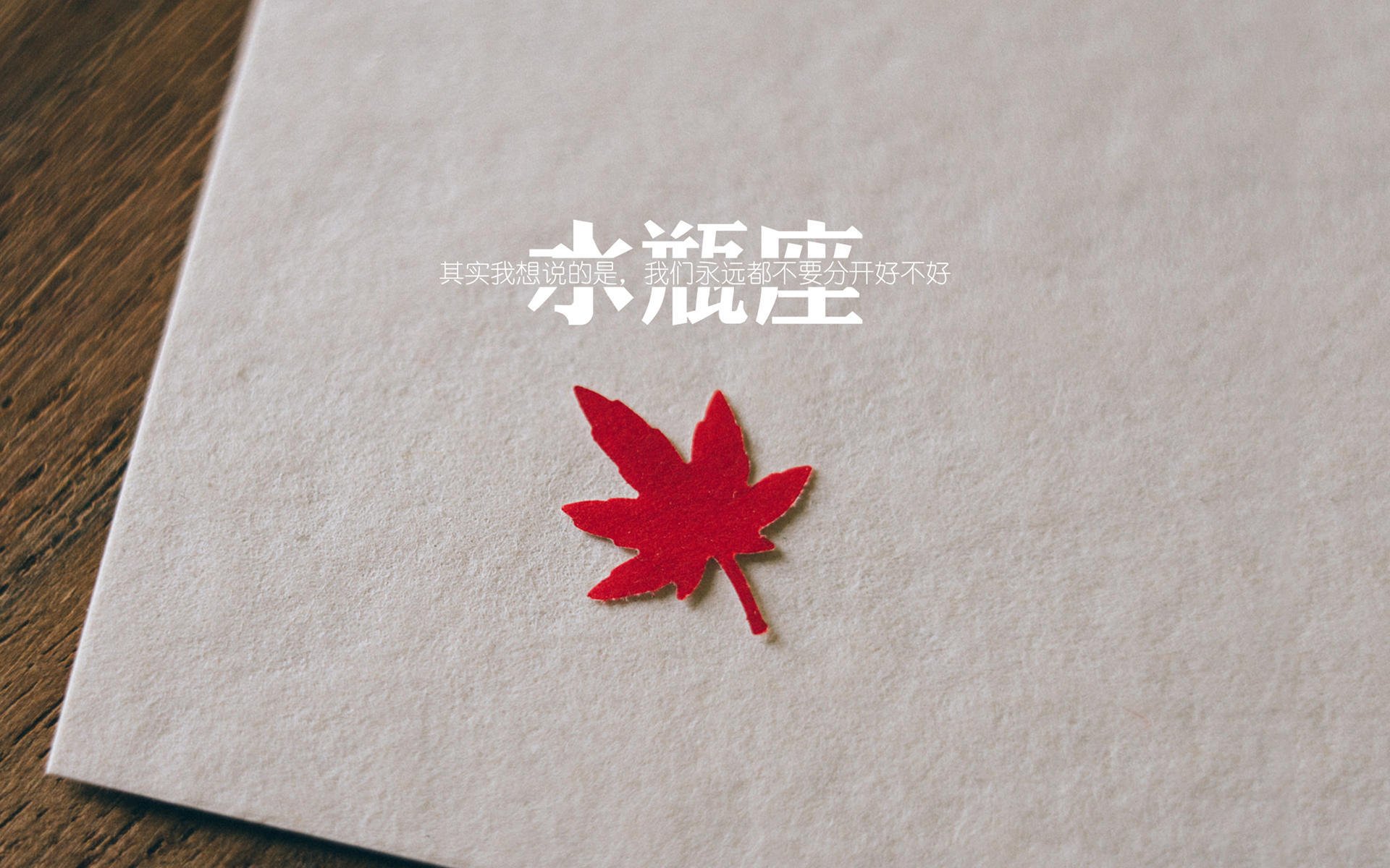 枫叶之矛刺穿星条旗,2026世界杯F组,加拿大用防守反击与凯恩的致命一击,写就北美足球新霸权