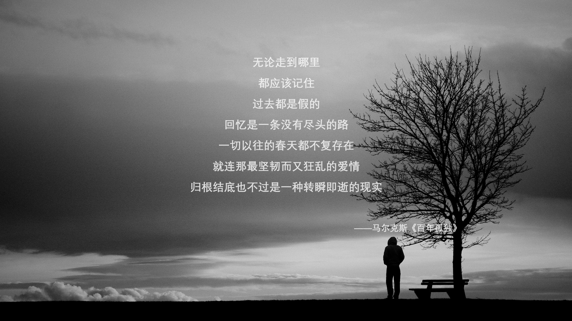 沙漠风暴降临卢赛尔，2026世界杯A组焦点战，卡塔尔碾压阿根廷，阿诺德防守艺术主导比赛